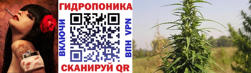 Виды наркотиков купить Новохопёрск Cocaine  APVP  МАРИХУАНА  Галлюциногенные грибы  Мефедрон 