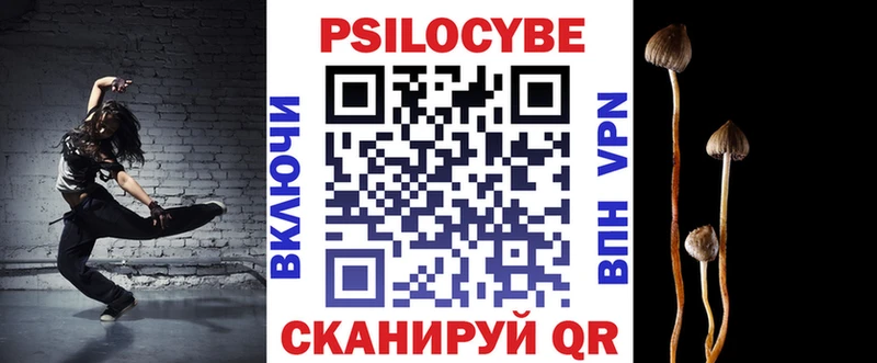 kraken tor купить наркотик Новохопёрск Псилоцибиновые грибы мицелий